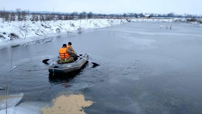 У Калуші на Франківщині надзвичайники врятували з криги трьох лебедів