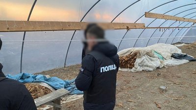 Теплиця
