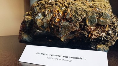 Жив сорок мільйонів років тому – скелет динозавра вперше експонується в краєзнавчому музеї Житомира
