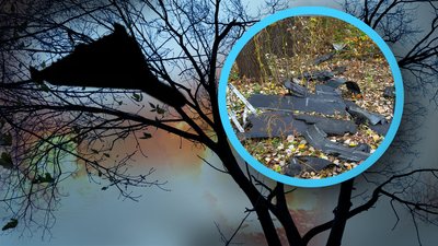 Дерево врятувало від БпЛА
