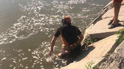 Стрибнув з дамби й не випірнув. На Франківщині рятувальники витягнули з річки тіло підлітка