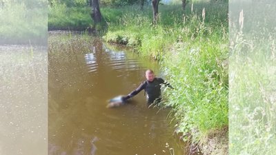 Водолази дістали тіло жінки з водойми