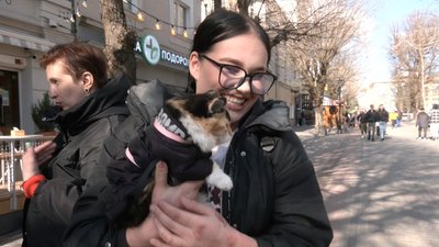 У Луцьку захисник разом з евакуйованою кішкою збирає гроші для військових