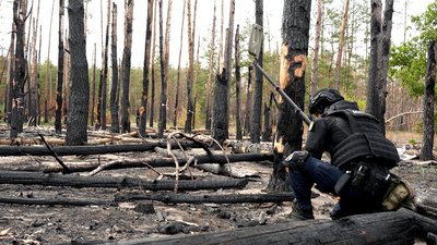 "Голки падають, притрушують". Як розміновують ліс на Донеччині: репортаж "Голки падають, притрушують". Як розміновують ліс на Донеччині: репортаж