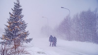 Шторм Йоганнес
