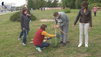 Хмельницькі школярі висаджують дерева разом з ландшафтним дизайнером Хмельницькі школярі висаджують дерева разом з ландшафтним дизайнером