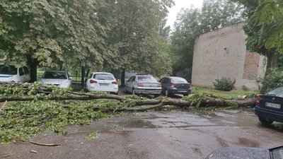 У Кропивницькому пронісся буревій. У соцмережах діляться фото наслідків У Кропивницькому пронісся буревій. У соцмережах діляться фото наслідків