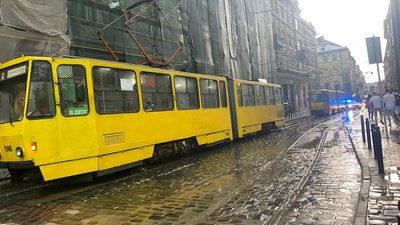 Повалені дерева та зупинка електротранспорту: у Львові скликали оперативний штаб Повалені дерева та зупинка електротранспорту: у Львові скликали оперативний штаб