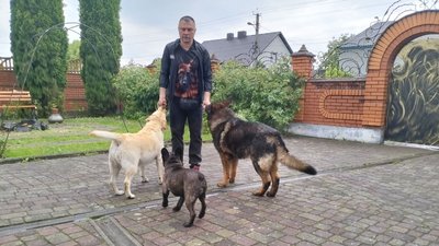 Інструктор має не тільки любити, а і довіряти: кінолог розповів про роботу із собаками Інструктор має не тільки любити, а і довіряти: кінолог розповів про роботу із собаками