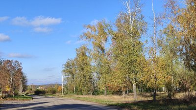Краєвид