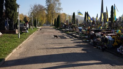Садгірське кладовище у Чернівцях