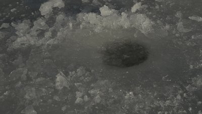 Як не провалитися під лід. Розповідає чернігівський рибалка