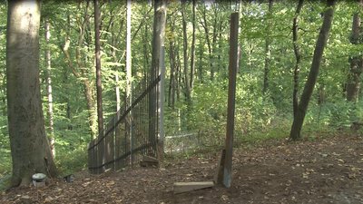 Територію Невицького замку та приватного комплексу мають розмежувати
