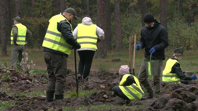 215 тисяч дерев: на Рівненщині долучились до всеукраїнської акції озеленення 215 тисяч дерев: на Рівненщині долучились до всеукраїнської акції озеленення