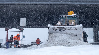 снігопад у Києві