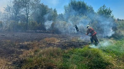ДСНС, пожежі в екосистемах, горіла суха трава, рятувальники, Волинь