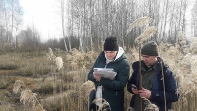У Рівненському заповіднику старателі розмили понад 70 га. Які наслідки там фіксують У Рівненському заповіднику старателі розмили понад 70 га. Які наслідки там фіксують