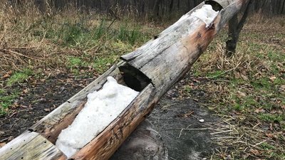 Cіль, овочі і сіно: в лісництві на Волині встановили нові годівниці для звірів