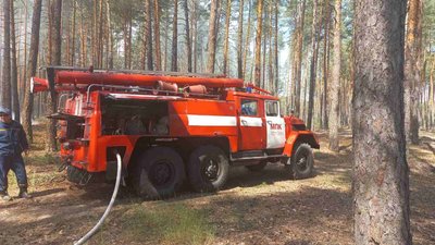 З початку вторгнення РФ на Харківщині гасили майже 700 пожеж в екосистемах