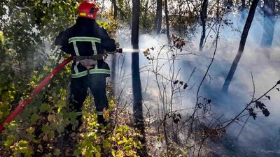 Горіло сміття і суха трава: на Черкащині за добу сталося десять пожеж Горіло сміття і суха трава: на Черкащині за добу сталося десять пожеж
