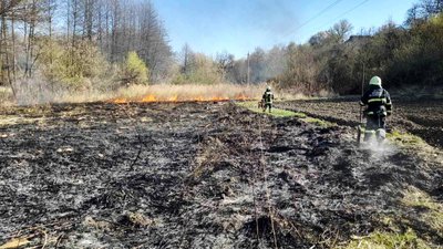 На Черкащині за добу сталось десять пожеж сухостою та сміття
