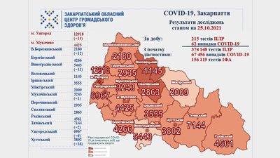 На Закарпатті за добу виявили 62 випадки COVID-19 На Закарпатті за добу виявили 62 випадки COVID-19
