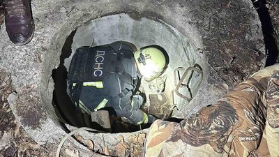 Бійці ДСНС врятували чотирьох собак з підземної пастки Бійці ДСНС врятували чотирьох собак з підземної пастки