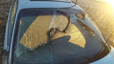Під Лозовою авто злетіло в кювет: двоє людей загинули Під Лозовою авто злетіло в кювет: двоє людей загинули