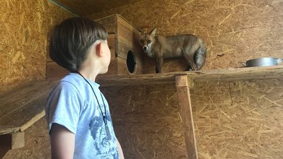 Сім’я із Полтави створює і продає біжутерію та екоторби, аби облаштувати кімнату для тварин Сім’я із Полтави створює і продає біжутерію та екоторби, аби облаштувати кімнату для тварин