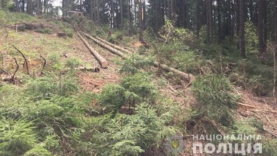 Фото: Національна поліція