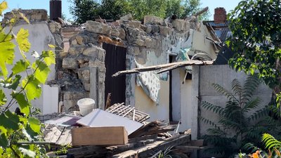 Миколаївчанка Наталія разом з домашніми улюбленцями лишилися житла через обстріли Миколаївчанка Наталія разом з домашніми улюбленцями лишилися житла через обстріли