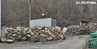 Вирубка лісу: ОТГ на Полтавщині заощаджує на опаленні Вирубка лісу: ОТГ на Полтавщині заощаджує на опаленні