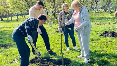 В Івано-Франківську до дня міста франківці та переселенці висадили 360 дерев
