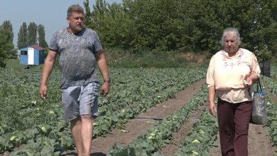Черкаським аграріям не вистачає пального Черкаським аграріям не вистачає пального