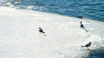 На Миколаївщині очікується підйом рівня води
