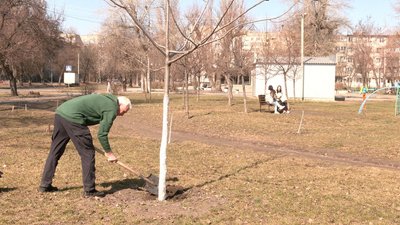 Черкасець висаджує дерева у пам’ять про загиблих військовослужбовців
