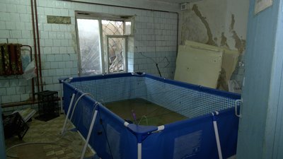 Їли одна одну, щоб вижити: як пережила бойові дії креветочна ферма в Чернігові