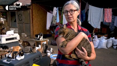 Притулок для котів в Одесі