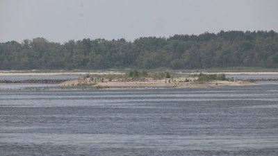 Загибель риби у річці Дніпро в Запоріжжі: експерт розповів про причини Загибель риби у річці Дніпро в Запоріжжі: експерт розповів про причини