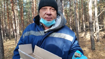 Вакцини від сказу для диких тварин: як поширюють на Полтавщині Вакцини від сказу для диких тварин: як поширюють на Полтавщині