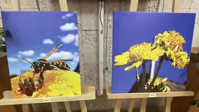 Фотоісторії Миколаївщини: як минув тиждень у регіоні Фотоісторії Миколаївщини: як минув тиждень у регіоні