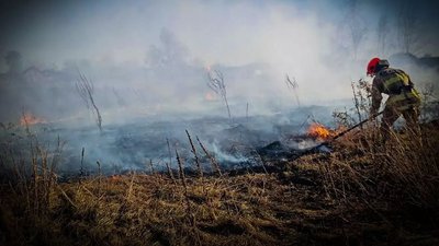 Рятувальник ДСНС гасить траву в селі Загальці, Київська область