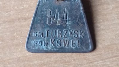До музею на Волині передали собачі реєстраційні жетони для полювання: як та коли його використовували До музею на Волині передали собачі реєстраційні жетони для полювання: як та коли його використовували