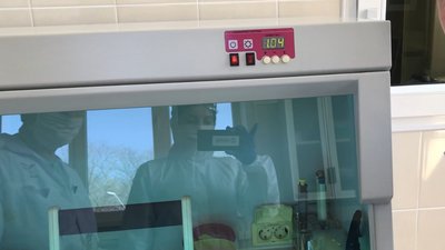 Як працює вірусологічної лабораторія в Одесі Як працює вірусологічної лабораторія в Одесі