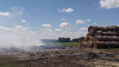 Війська РФ обстріляли Гуляйпільську громаду на Запоріжжі: знищено понад 600 Га зернових, уламками вбило тварин