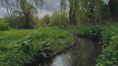 дощ над озерною балкою кропивницький