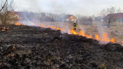 приборкали пожежу сухої трави на Звенигородщині приборкали пожежу сухої трави на Звенигородщині