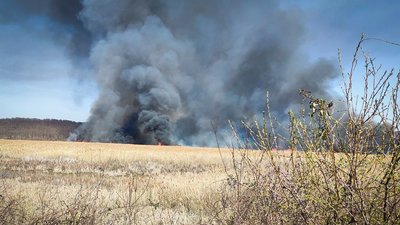 У місті Виноградів на Закарпатті горіло 15 гектарів сухостою У місті Виноградів на Закарпатті горіло 15 гектарів сухостою