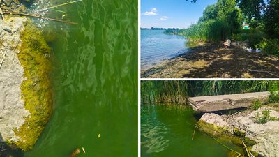 Кіровоградщина: у Войнівському водосховищі впав рівень води Кіровоградщина: у Войнівському водосховищі впав рівень води