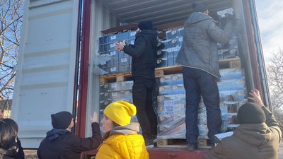 Миколаївським бездомним котам надійшла гуманітарна допомога